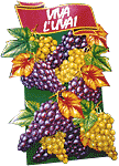 grappoli uva